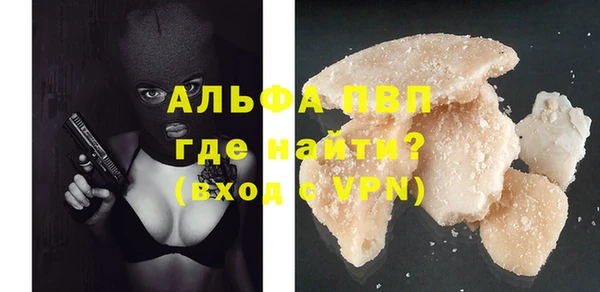 PSILOCYBIN Балахна