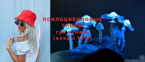 PSILOCYBIN Балахна