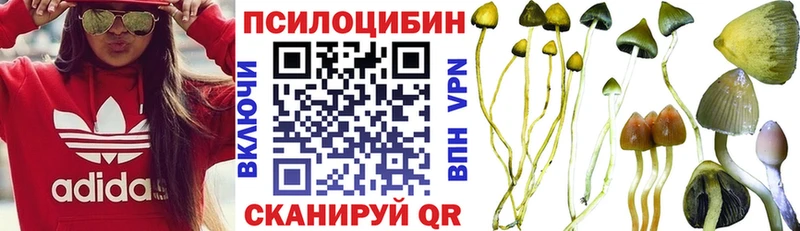 Псилоцибиновые грибы мицелий  купить закладку  Ухта 